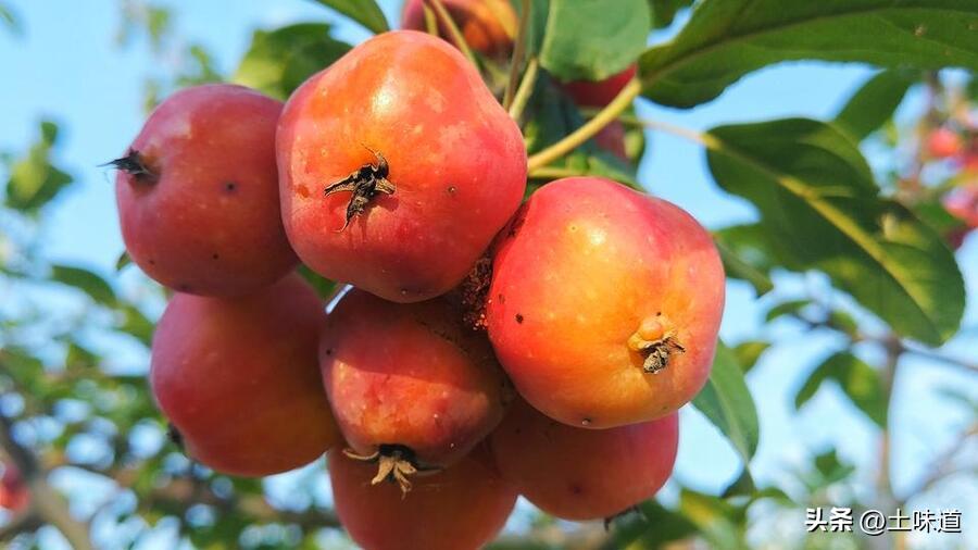 Endless Topics──Impressions from Mr. Guanghui's "Selling Life" iNEWS