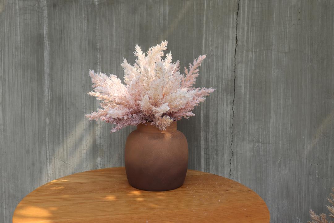 What does pampas grass symbolize iNEWS