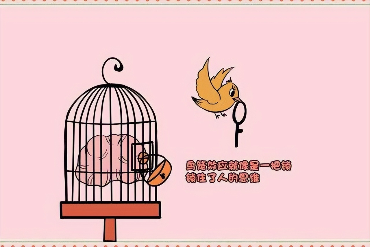 Cognitive biases that affect us every day! 3200 words, explain clearly