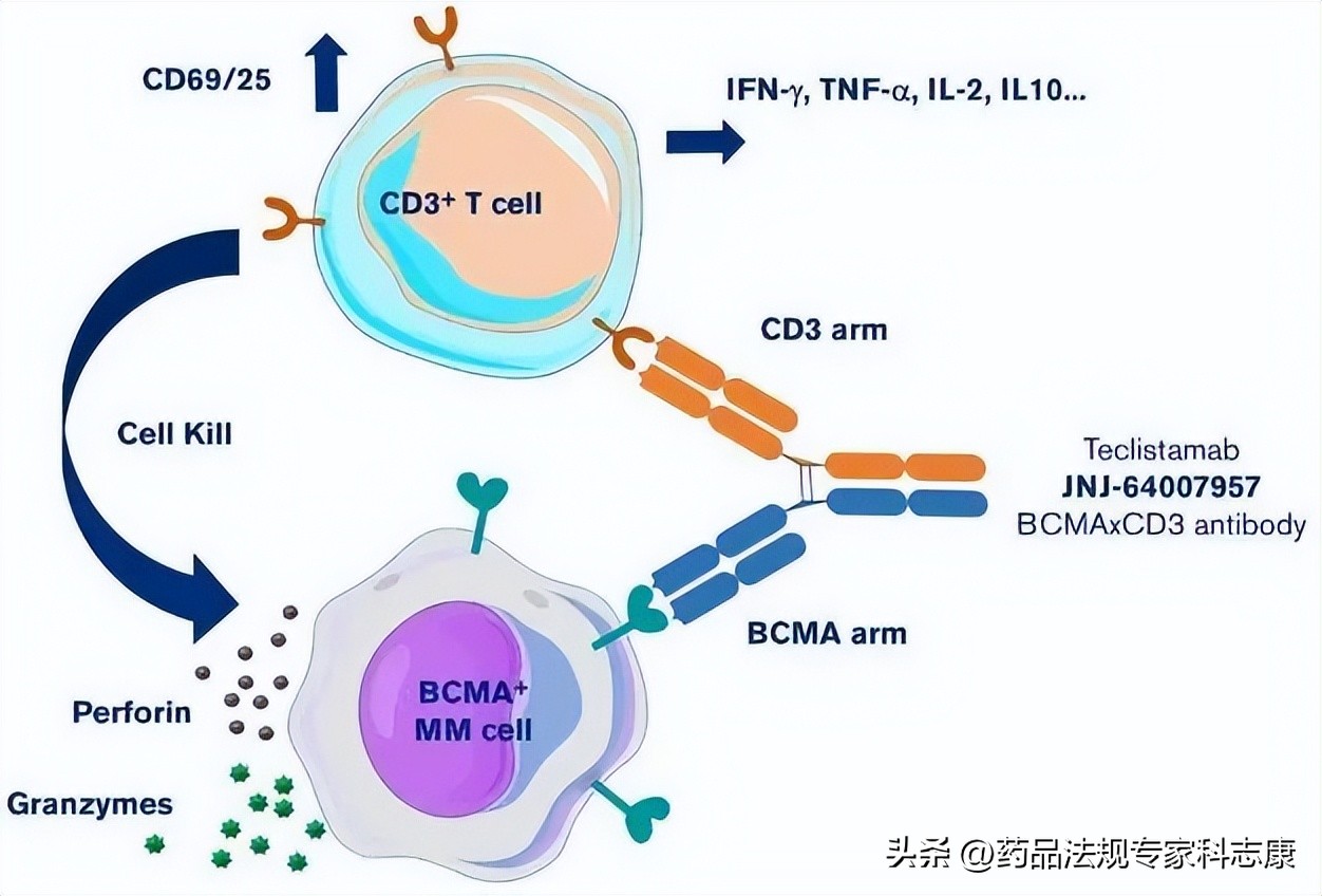 The world's first BCMA/CD3 dual anti-Teclistamab received CDE ...