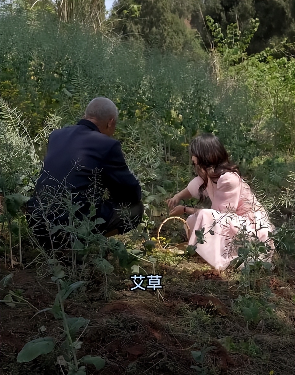 Internet celebrity Tang Xiaoyu wears a dress to dig wormwood - iNEWS