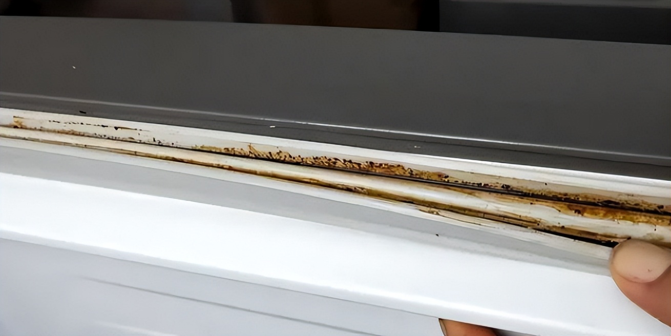 What should I do if the refrigerator seal is moldy?Don't wipe with