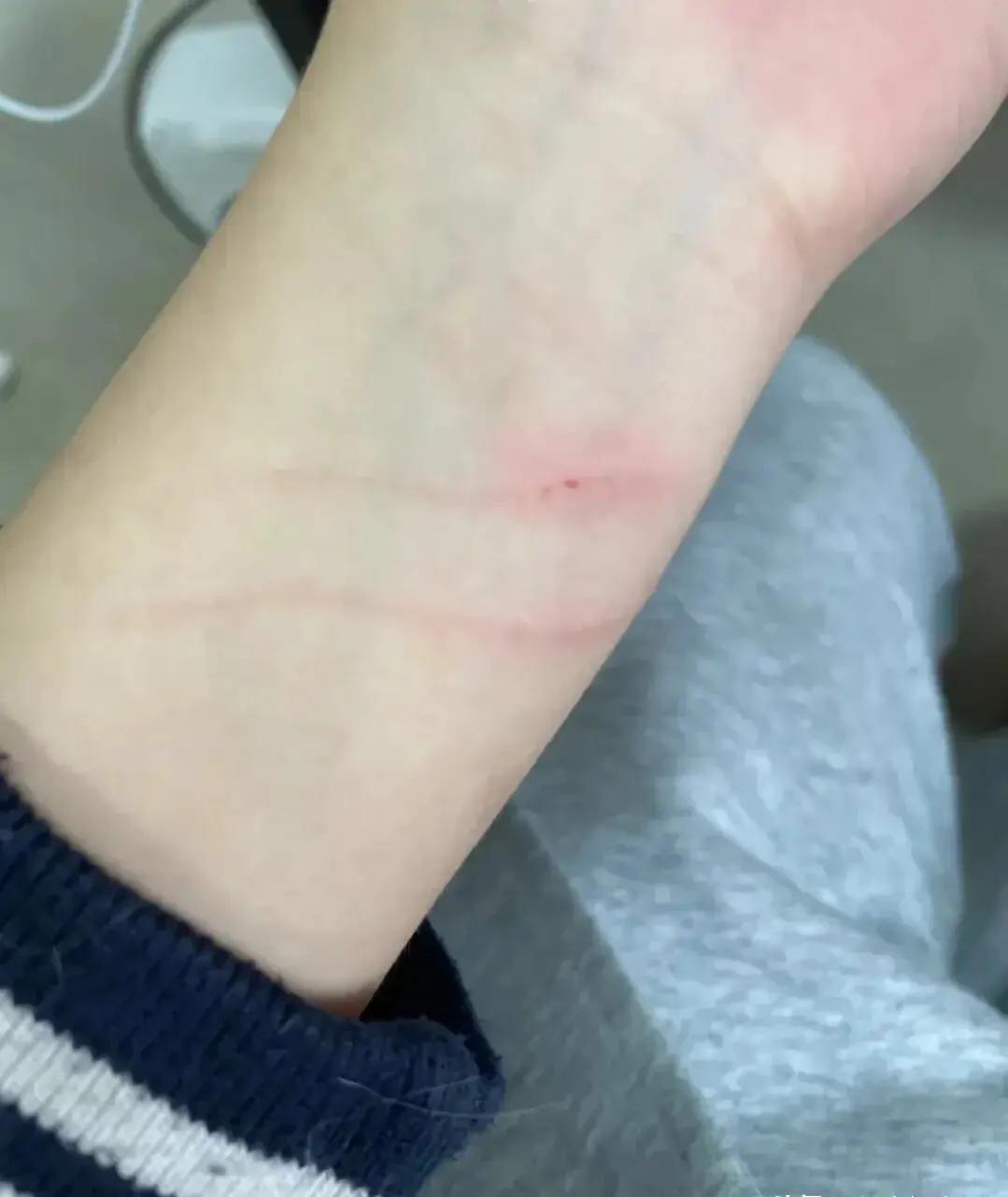 [Wild cat adoption guide Please try to choose a feral cat with a gentle personality] iNEWS