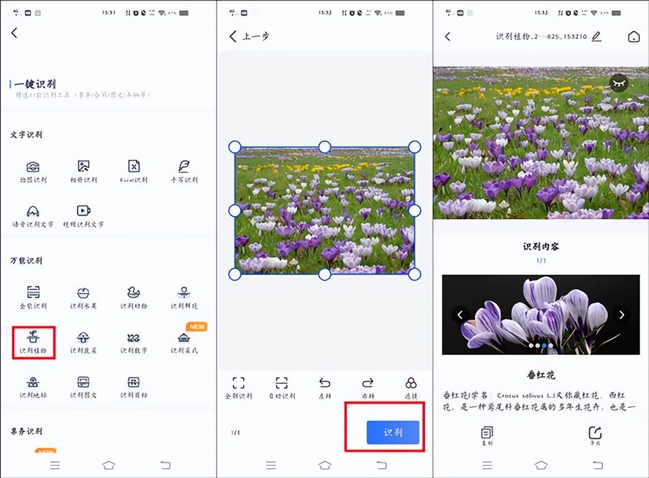 How to scan to identify flowers and plants?Tips for Identifying Flowers