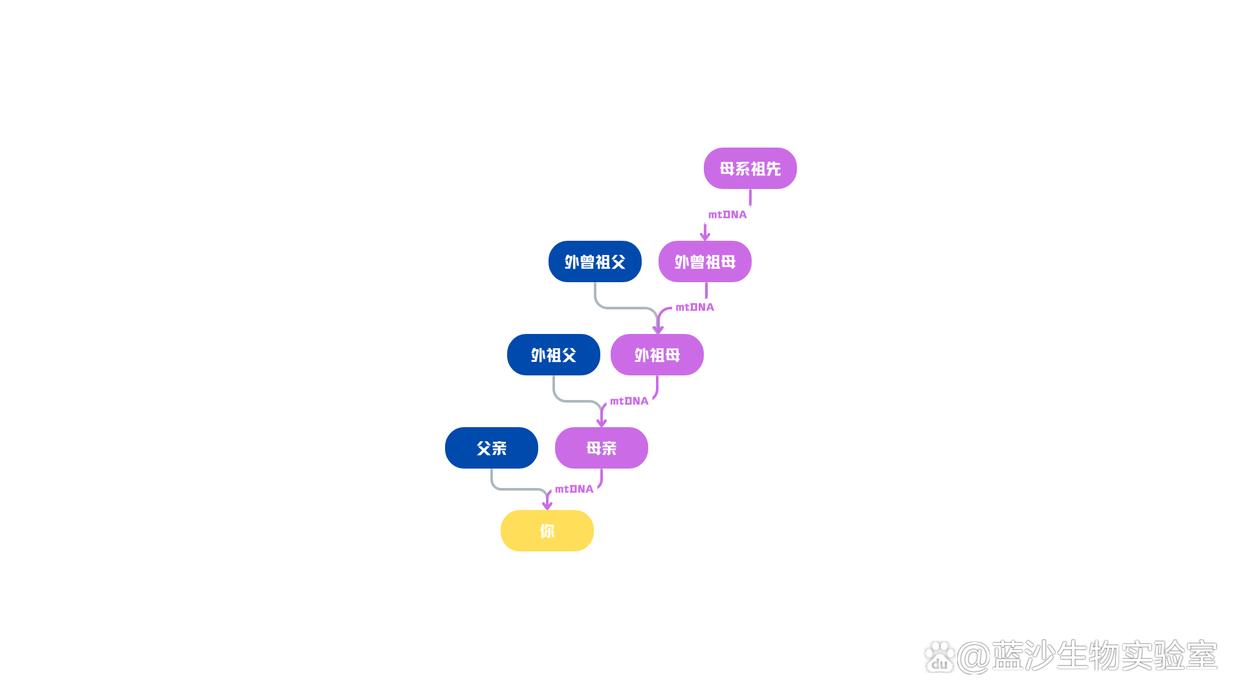 只有媽媽才能遺傳給你的基因？母系遺傳關係是如何鑑定的？ - 頭條匯