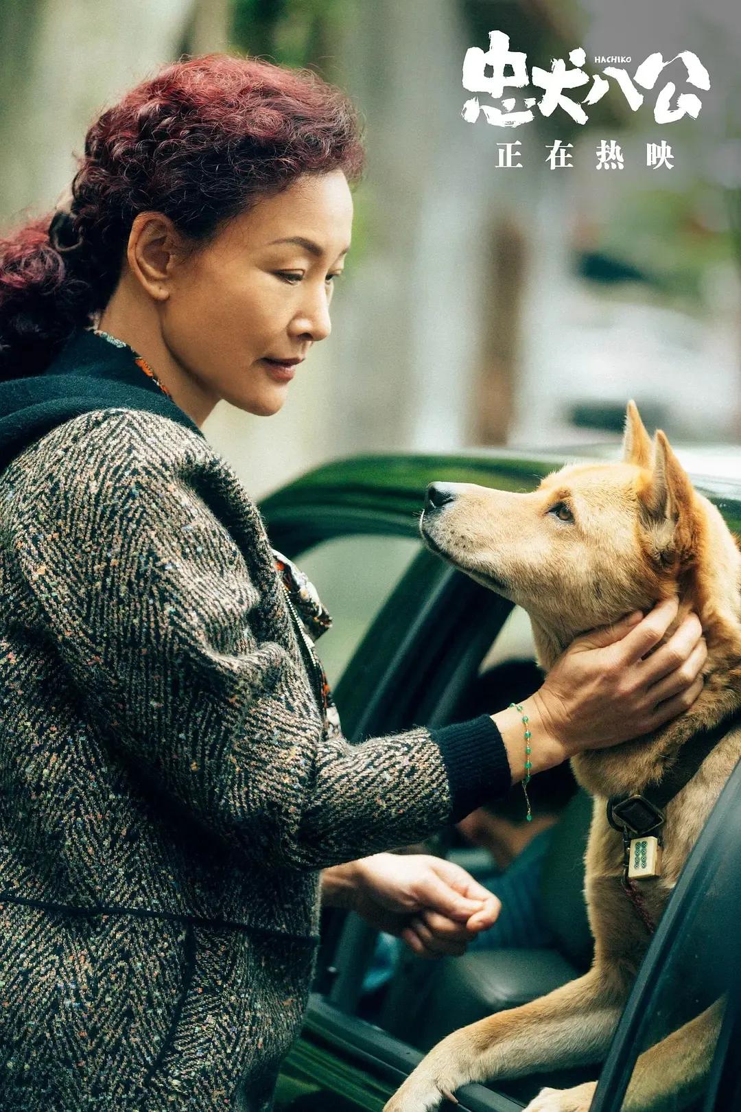 Feng Xiaogang's "Hachiko" made me cry, but it shouldn't have a Chinese