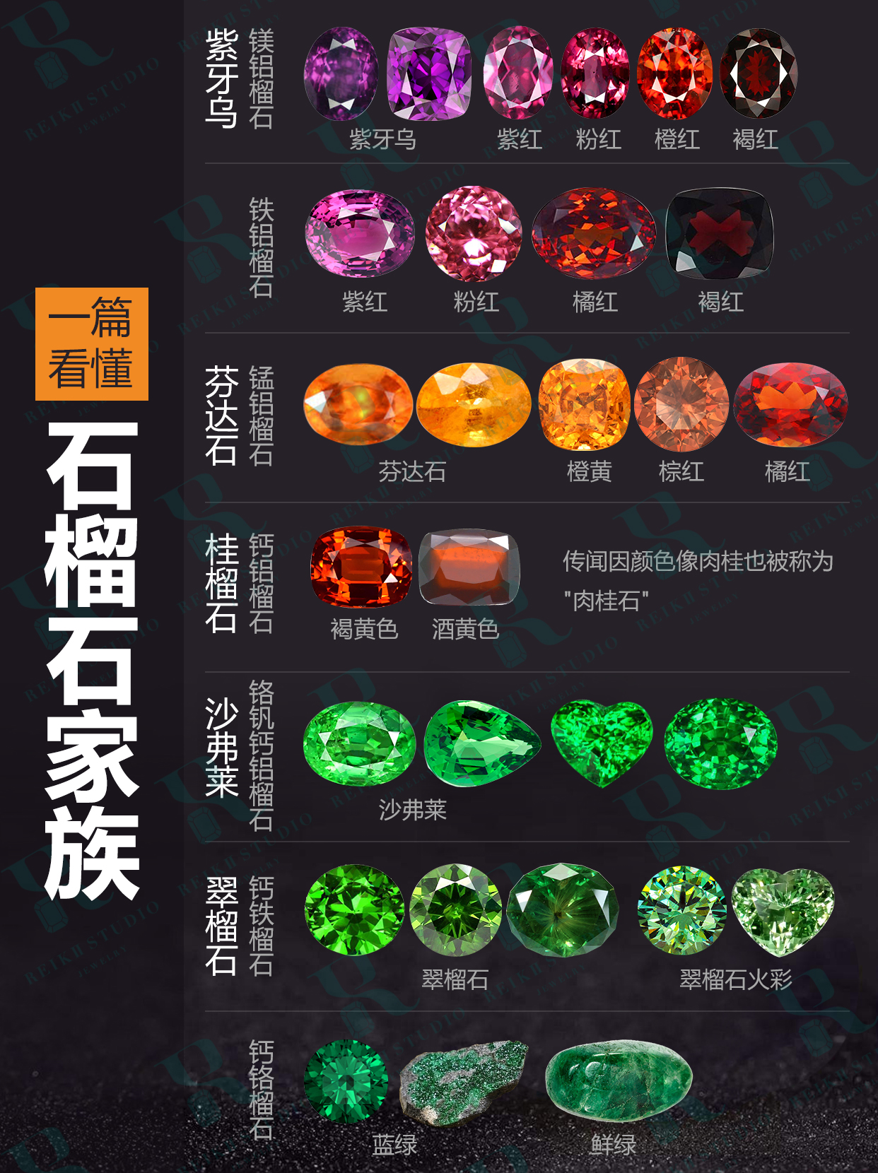 An article to understand the family iNEWS