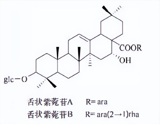 Plant functional components-triterpenes and their glycosides - iMedia