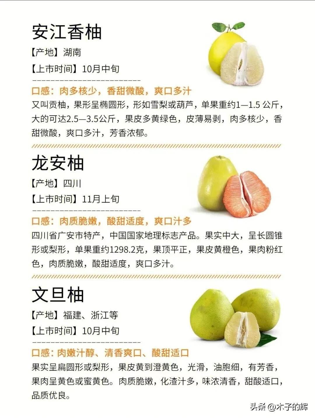 Buy grapefruit and learn these 3 skills to ensure you pick a good