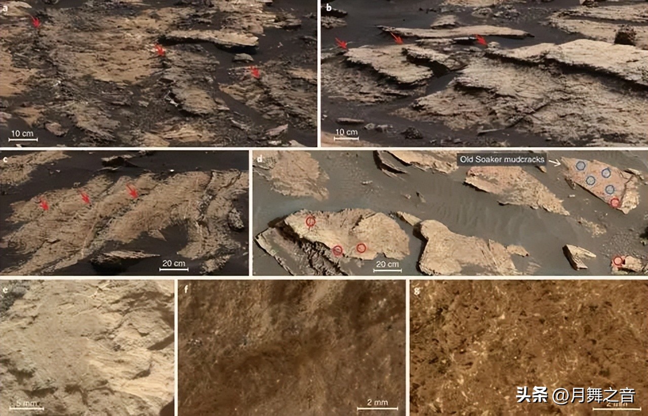 Is there life on Mars? NASA Captured The Most Mysterious Photo Of A ...