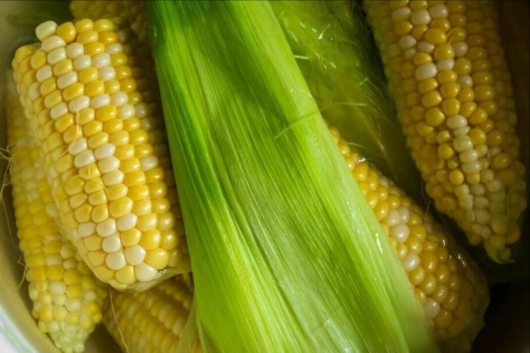 When cooking corn, don't just add water, experts will add 2 more, the ...