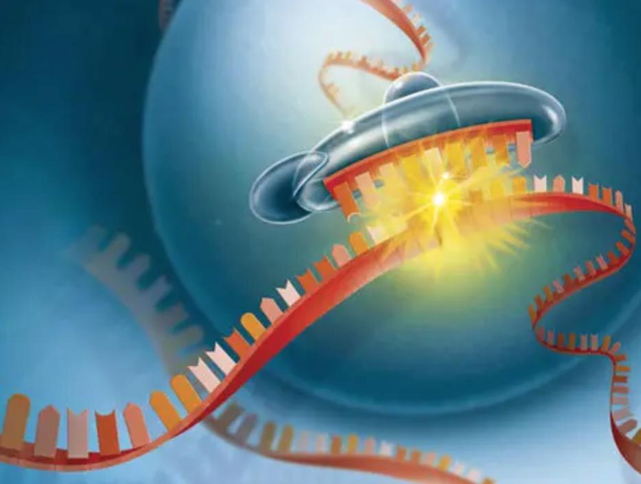 Hepatitis B new drug JNJ3989, TLR7 agonist GS9620, distinguish them