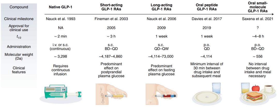 Structure's GLP-1 pill on track to compete with Novo, Lilly