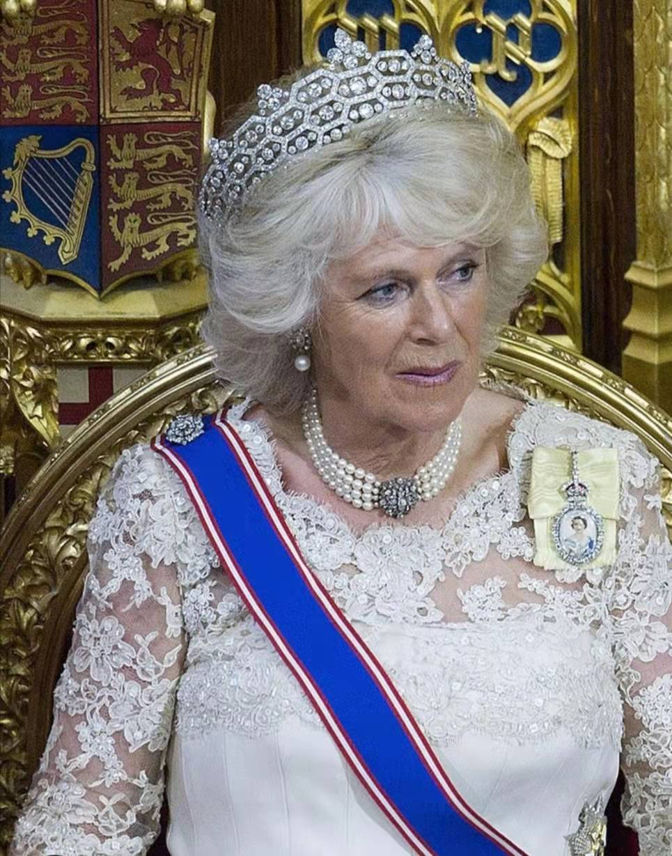 Camilla Used Mary's Brooch To Secure The Belt, But Princess Dai Used A ...