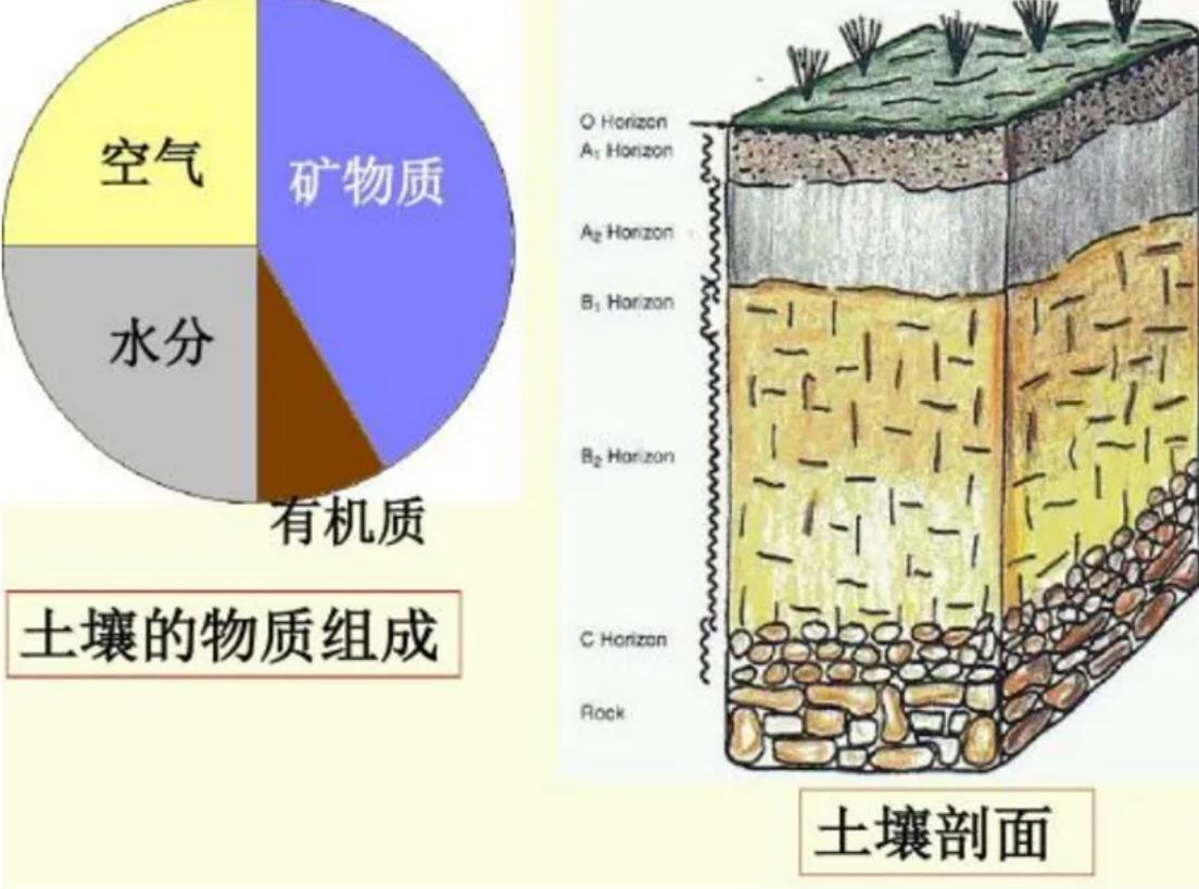 人死後會去哪裡?死後仍會有意識,大腦會繼續運行? - 頭條匯