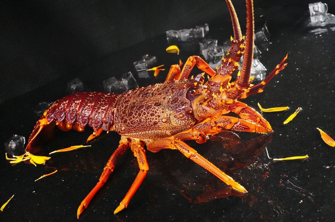 Top 10 Most Expensive Seafood in the World iNEWS