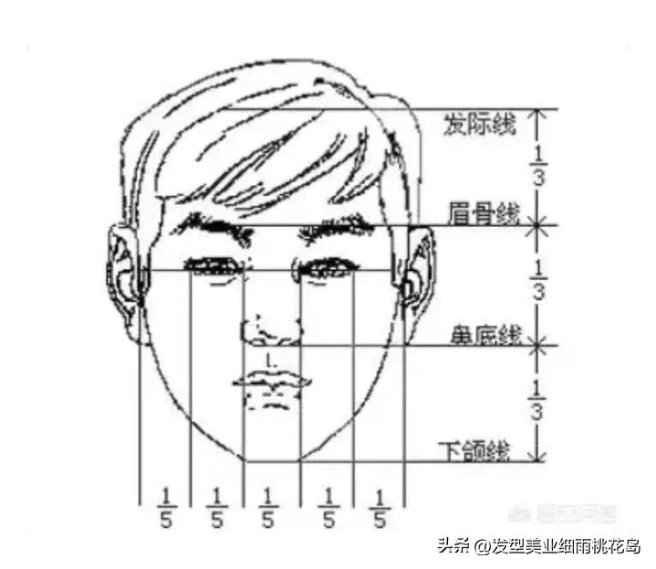 Hair design facial features iNEWS