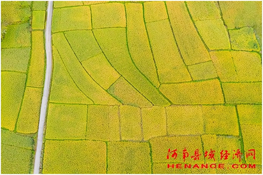 比紅旗渠早十年建成的南召米糧渠——薄地川變米糧川的史詩 - 資訊咖