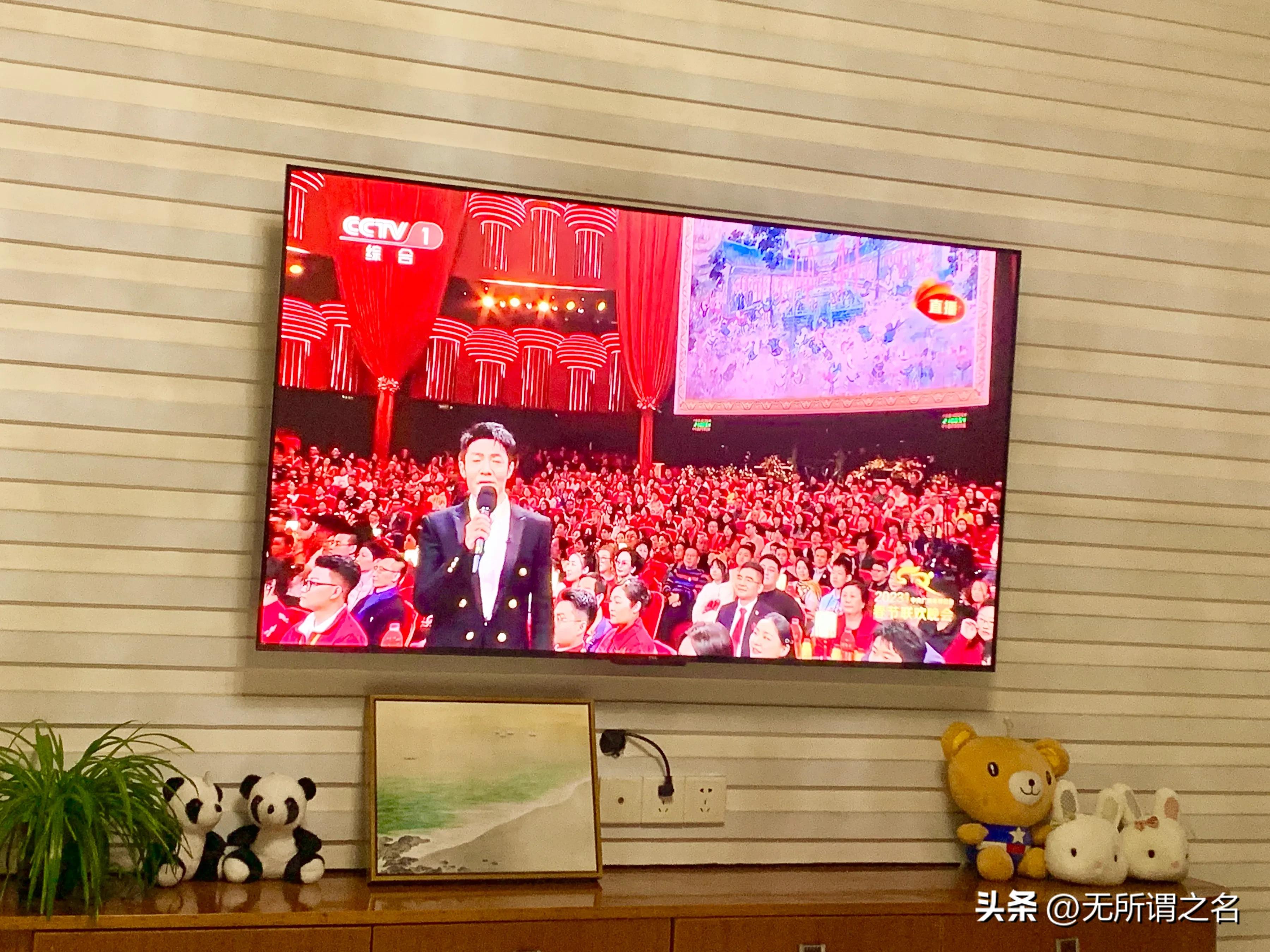 In the 2023 Spring Festival Gala, should Sa Beining and Su Youpeng wear ...