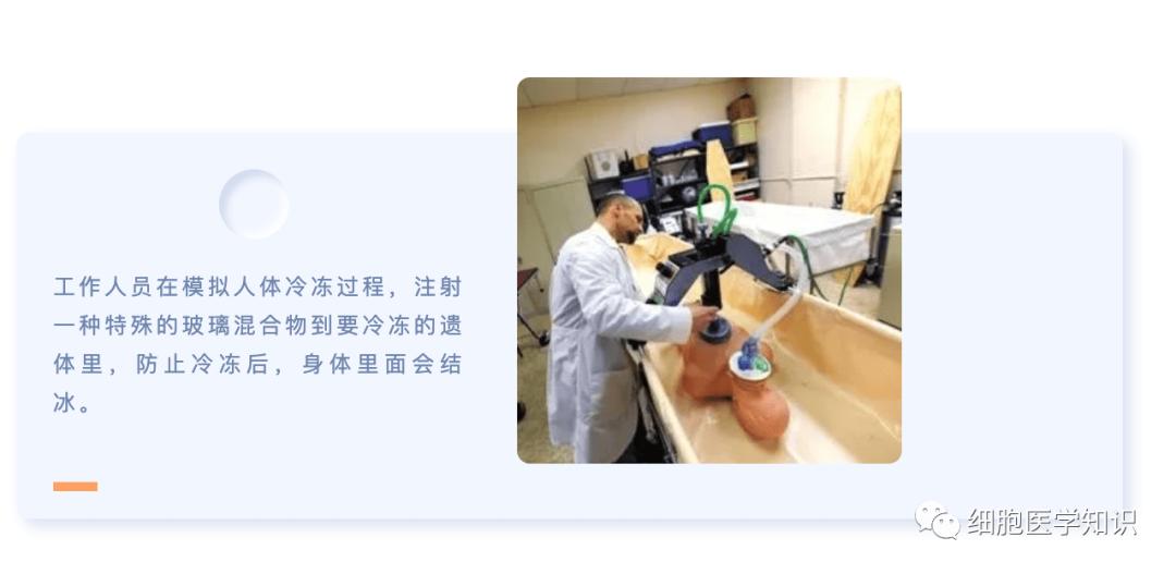 How long can cells be stored in cryopreservation? iNEWS