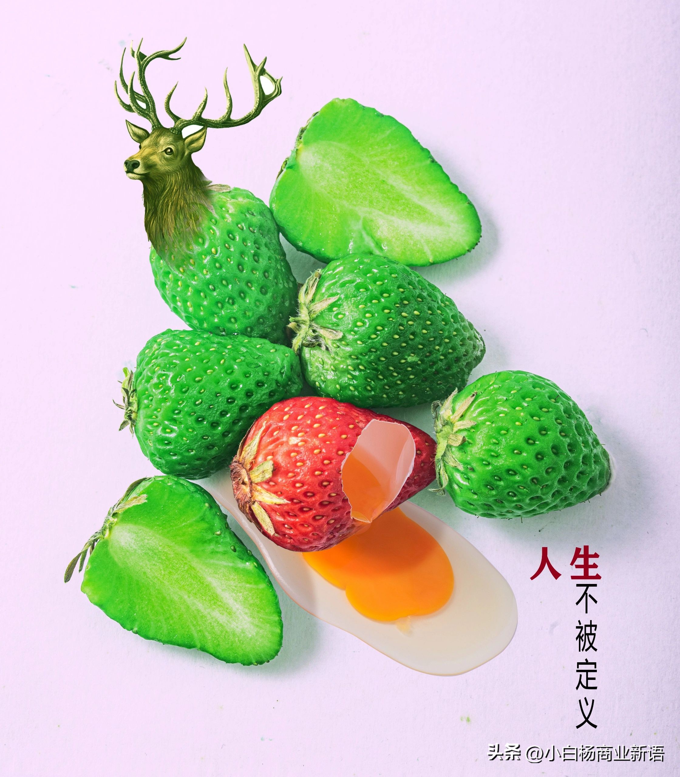 Episode 199 There is a Mount Everest between the brand and the Logo