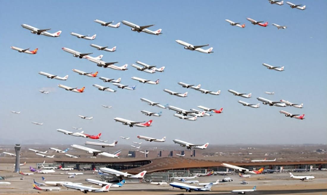 Class A aviation disaster! How serious is a bird collision with a plane ...