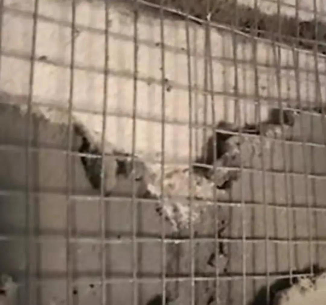 Why hang wire mesh before plastering? iNEWS