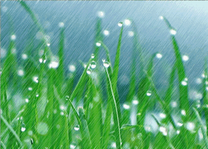 Listen to the rain on a spring night - iMedia