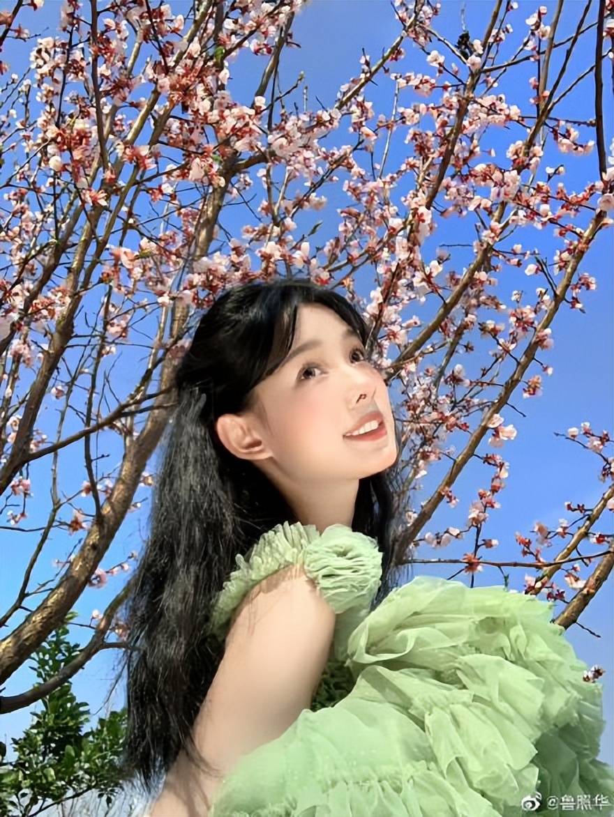 Lu Zhaohua has brought us spring, an actor with good acting skills and ...