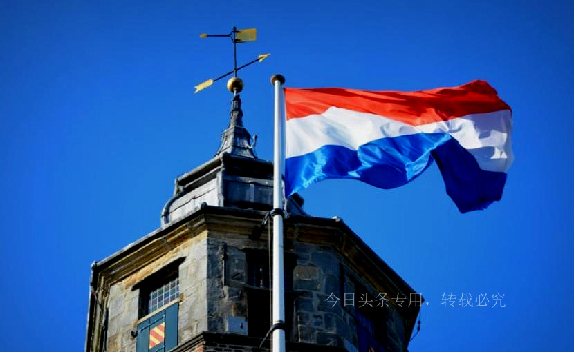 Japan, the United States and other countries have issued chip bans