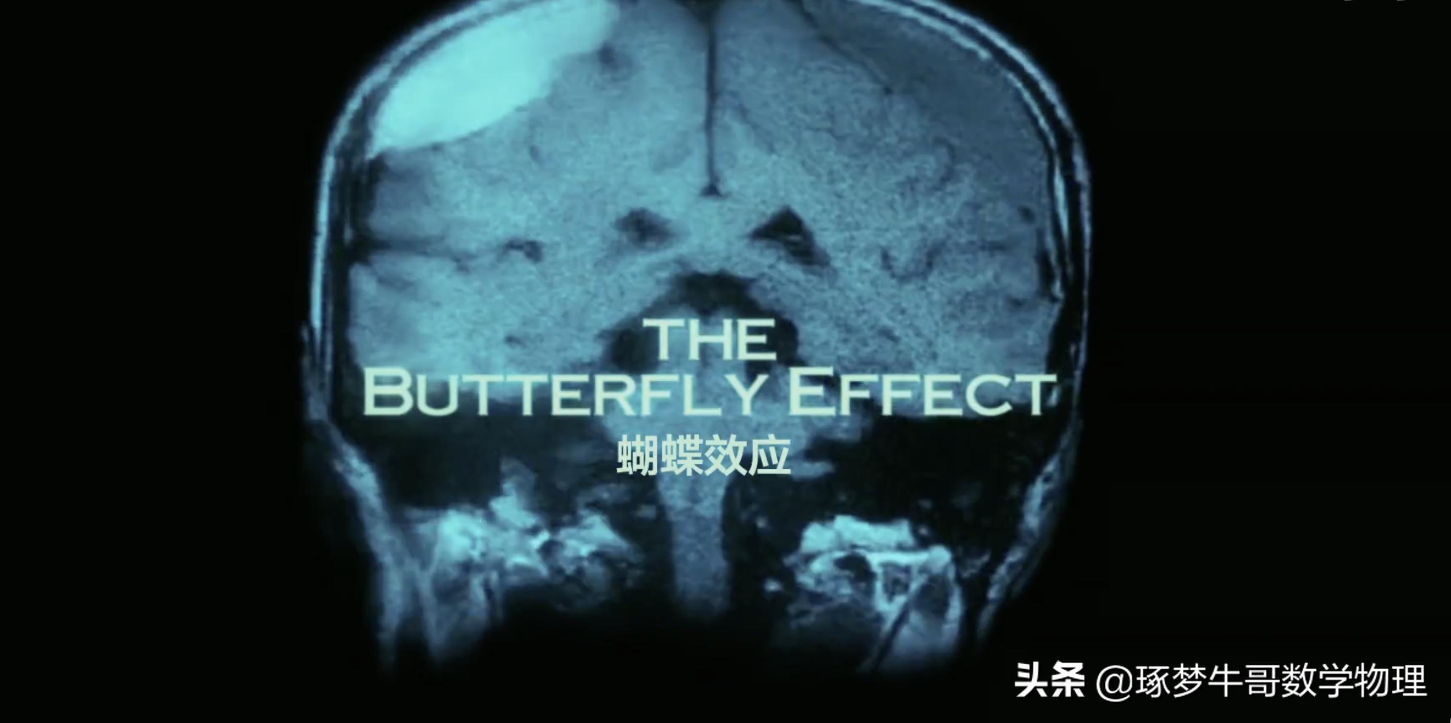 Everything is the best arrangement after watching "The Butterfly