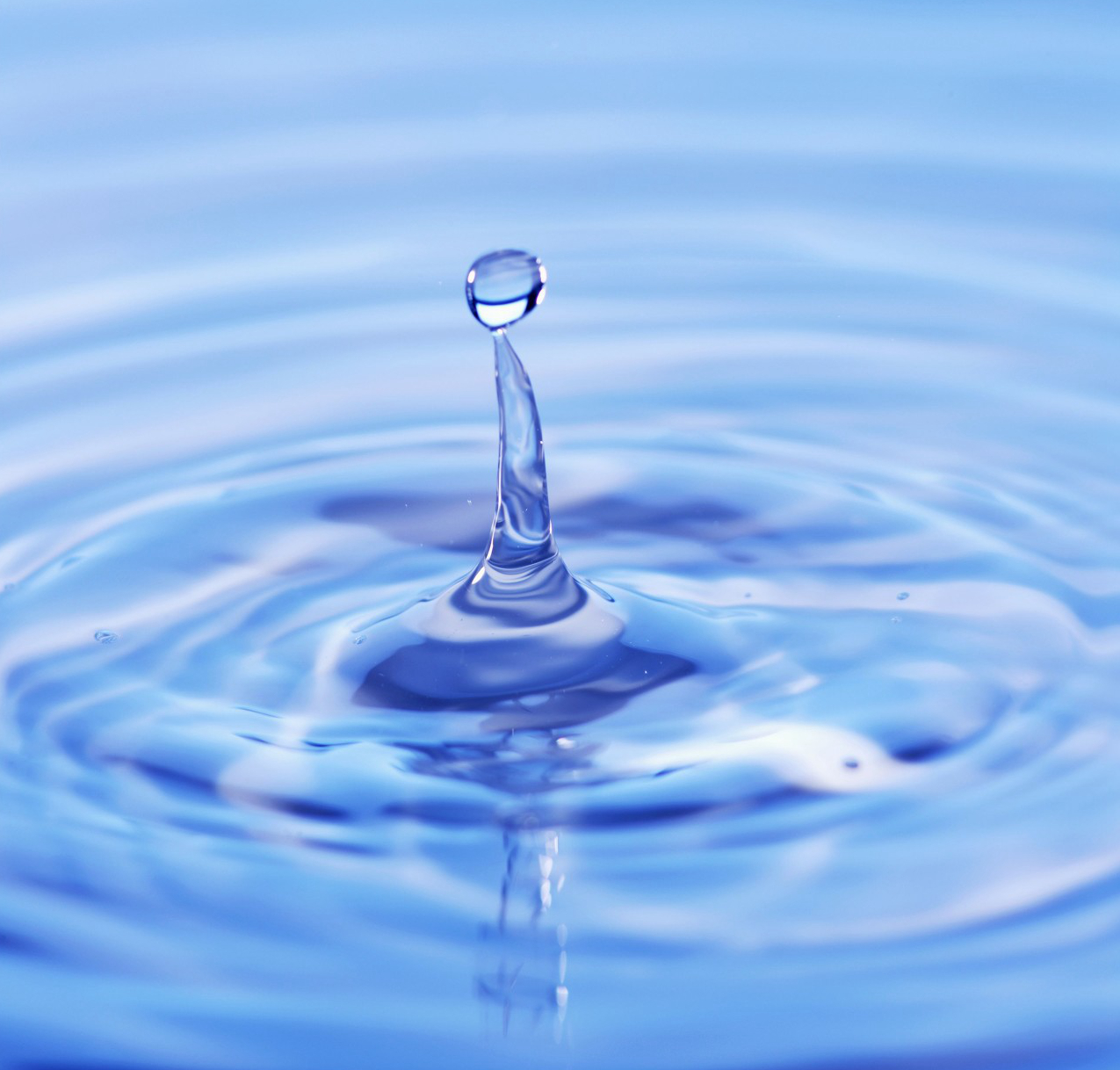 Selfdiscipline punchinday 7Why do you know a lot of truth, but you