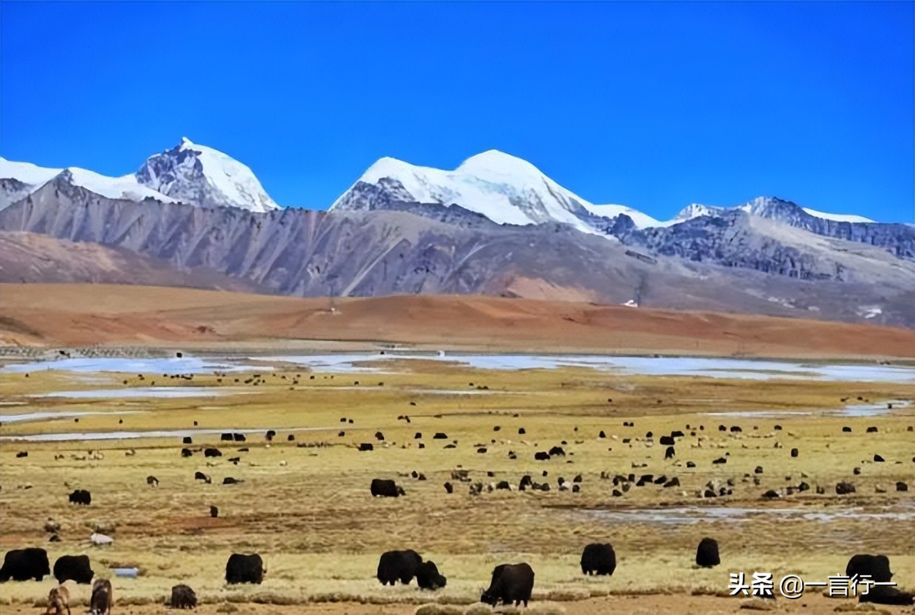 Hitler secretly sent people to visit Tibet, what did he find?How did ...