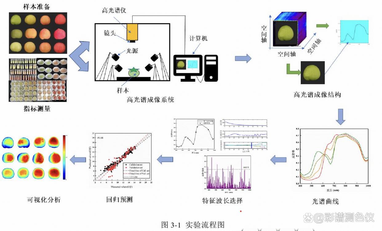 Study on the ripeness of tomato fruit by hyperspectral imaging system ...