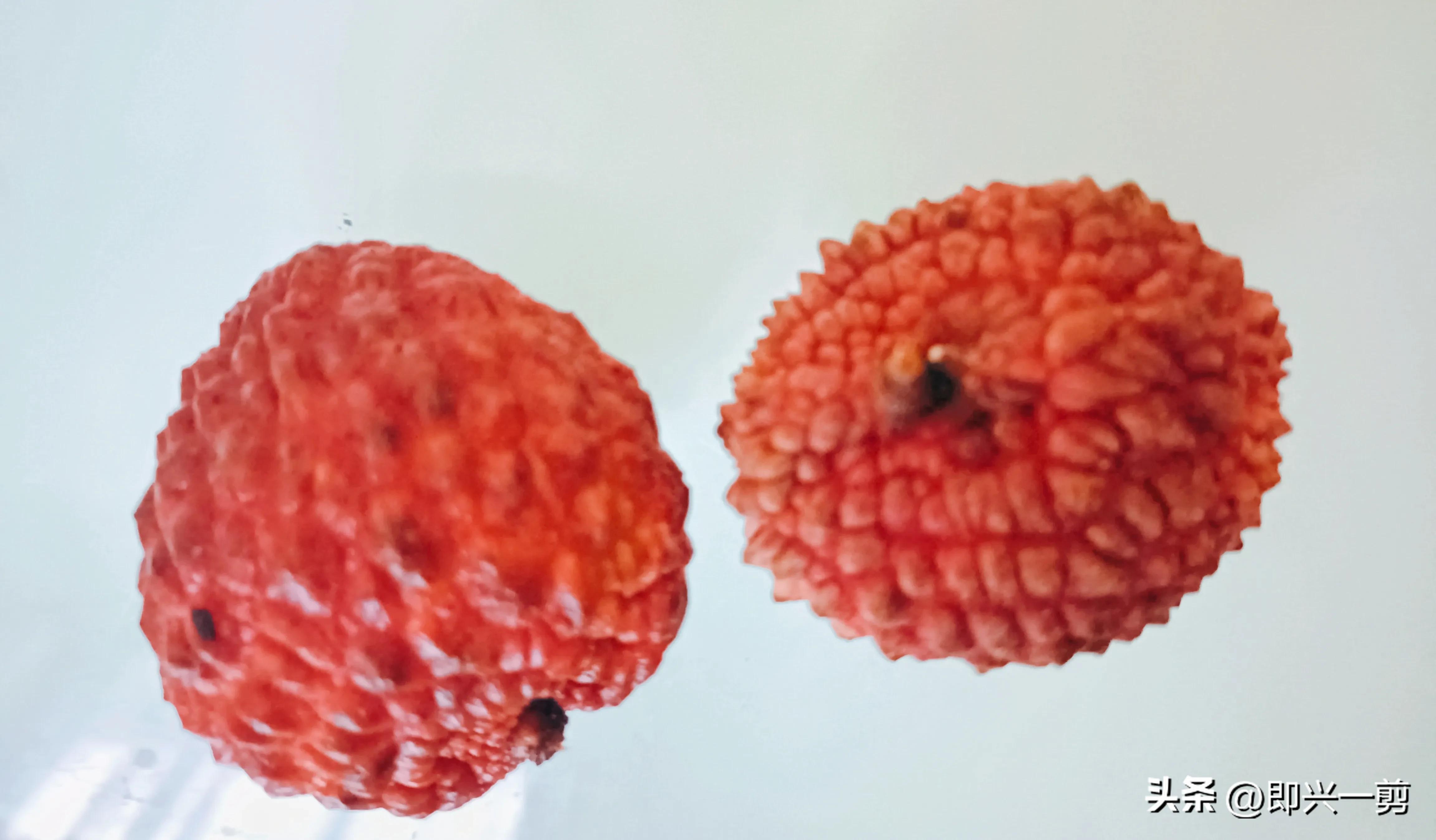 Is there any difference between lychee and lychee king? iNEWS