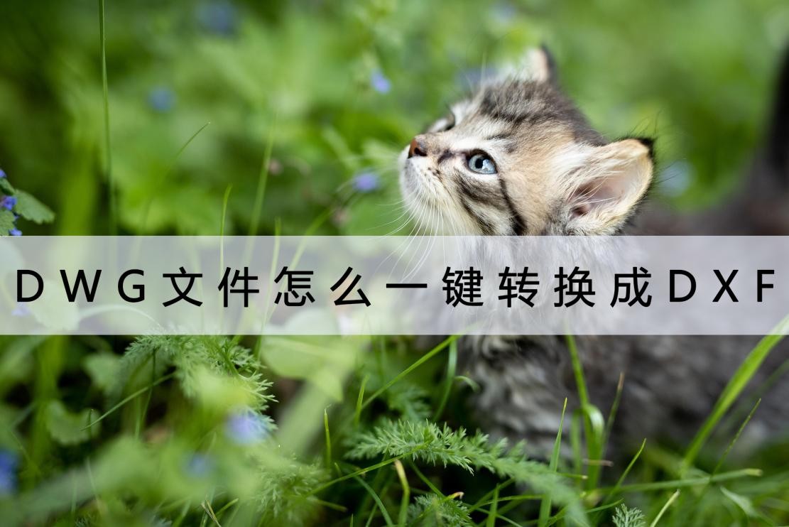 How to convert DWG files to DXF with one click? try this iNEWS