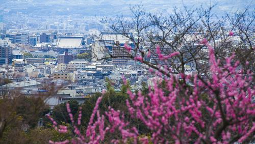 Japan releases Asia's cleanest city rankings, 5 Chinese cities are on the list, Dalian is second