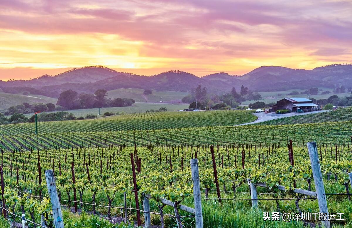 Discussion on "drinking period" and "shelf life" of wine iNEWS