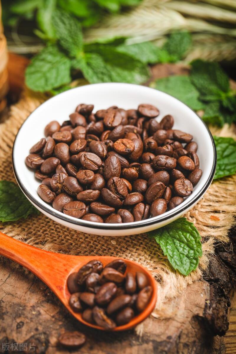 Is "cat poop coffee" really made of cat poop? iNEWS