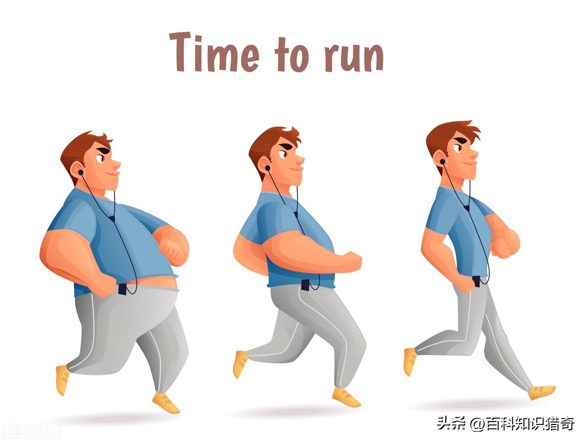 Why does not eating meat and only vegetarian will make you fat? iNEWS