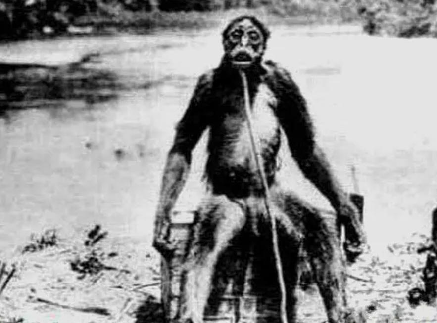 The heroine Chen Chuanxiang killed the cheetah with her bare hands and ...