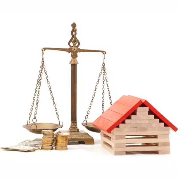 The Evolution and Influence of Germanic Property Law iNEWS