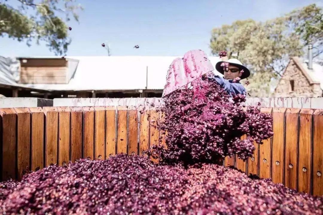 Why does my tongue sometimes change color when I drink red wine? iNEWS