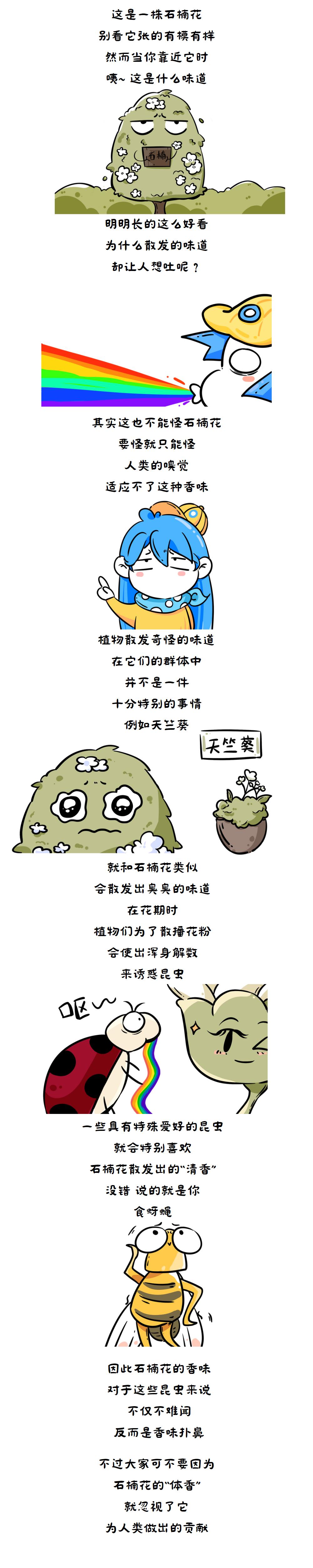 Why are "fishy and smelly" heather flowers planted all over the street