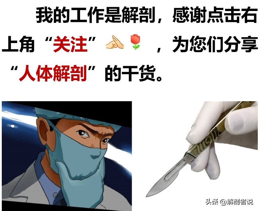 白話解剖：夢露之死，迷霧重重，臉上屍斑，更加詭異，真相是啥？ - 資訊咖