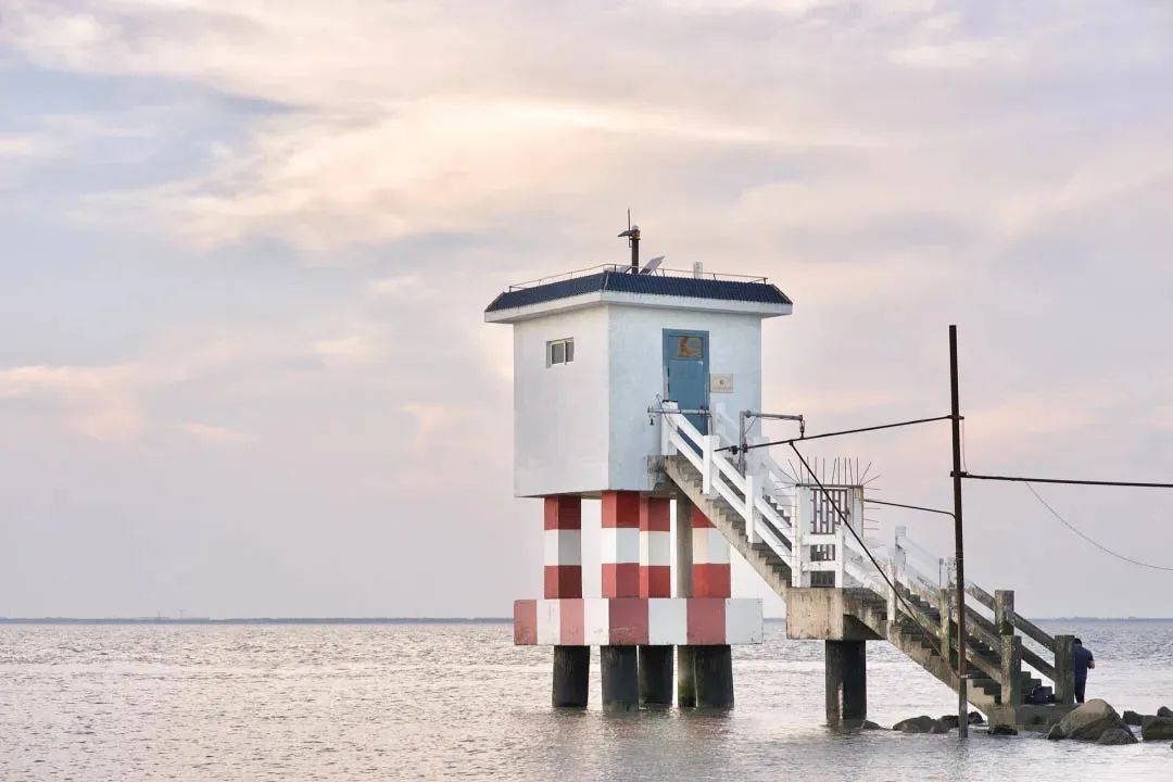 Bumper cars in India iNEWS