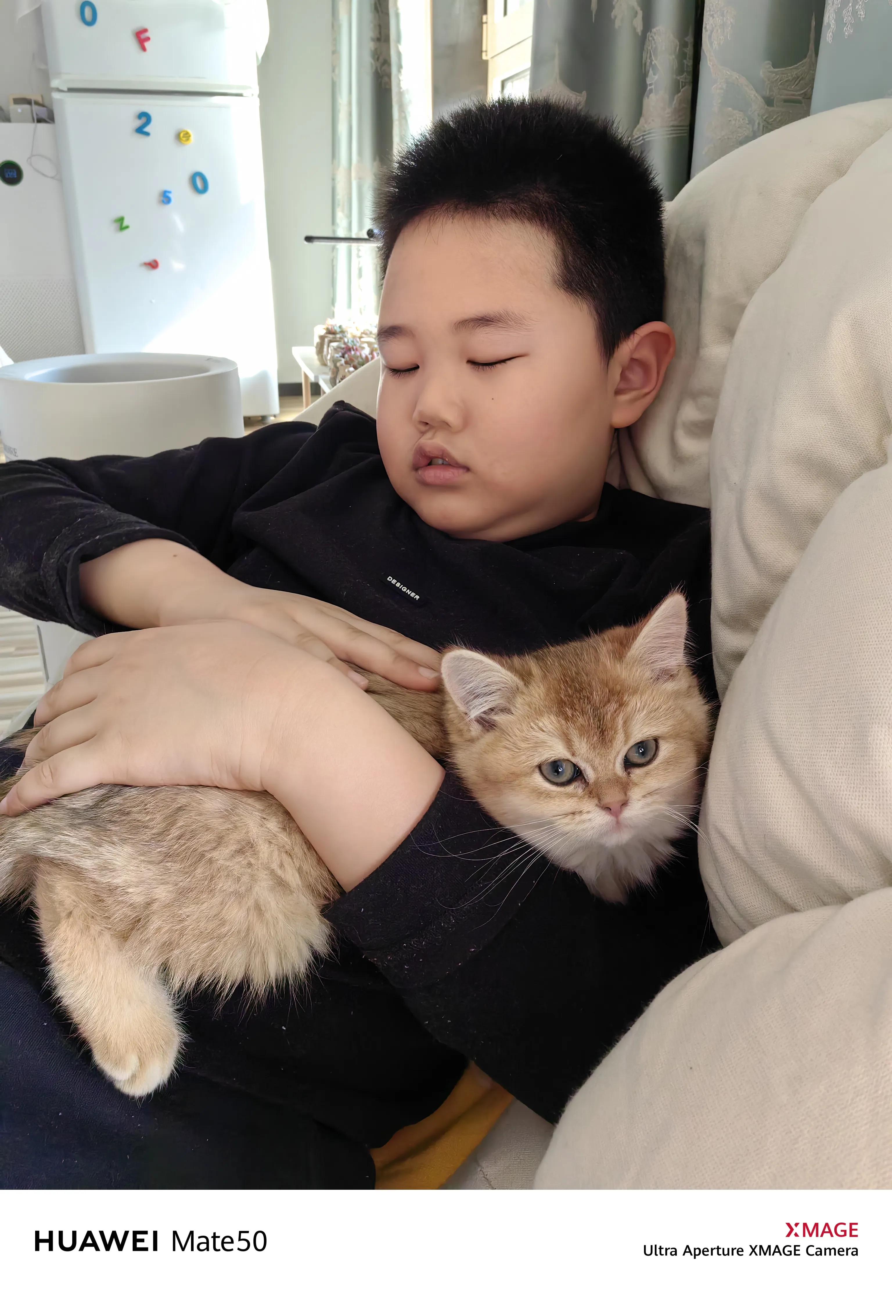 Cat Xiaojin's second day - iNEWS