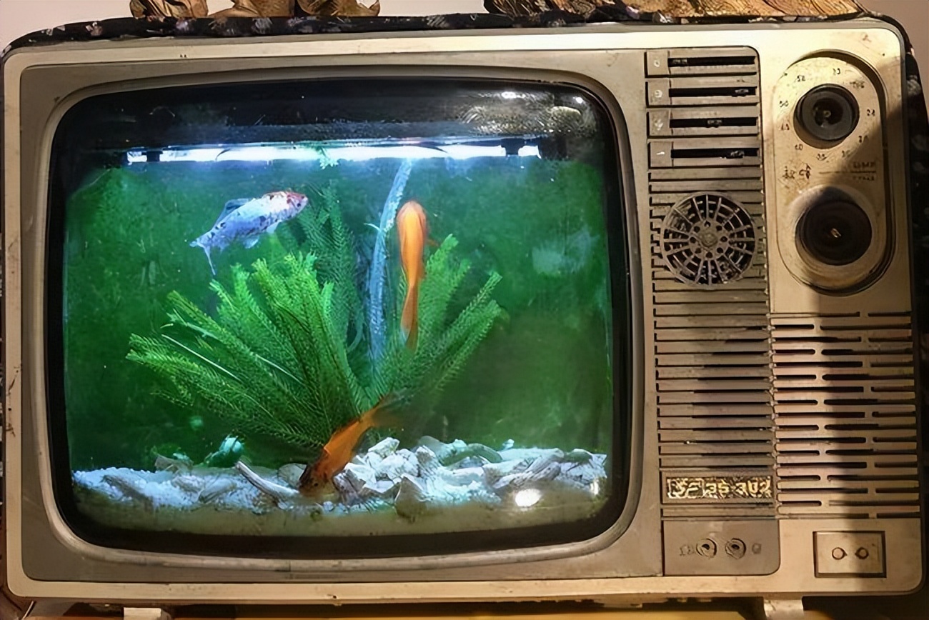 Don't sell your old TV as a 20yuan waste product. You can turn waste