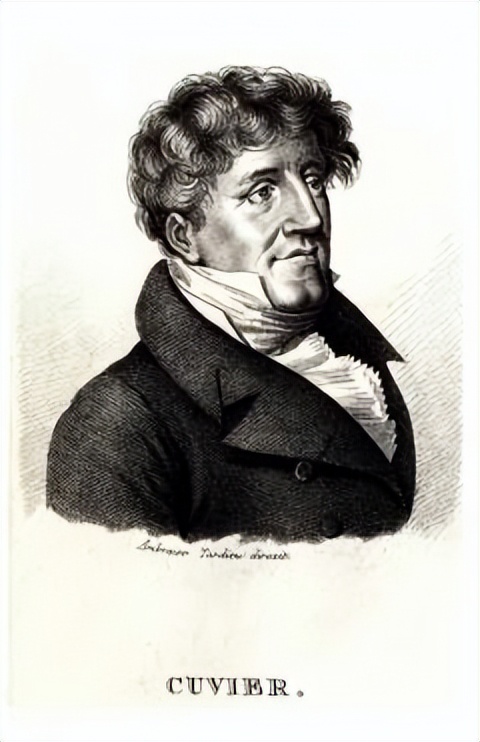 Founder of Paleontology: Georges Cuvier, 