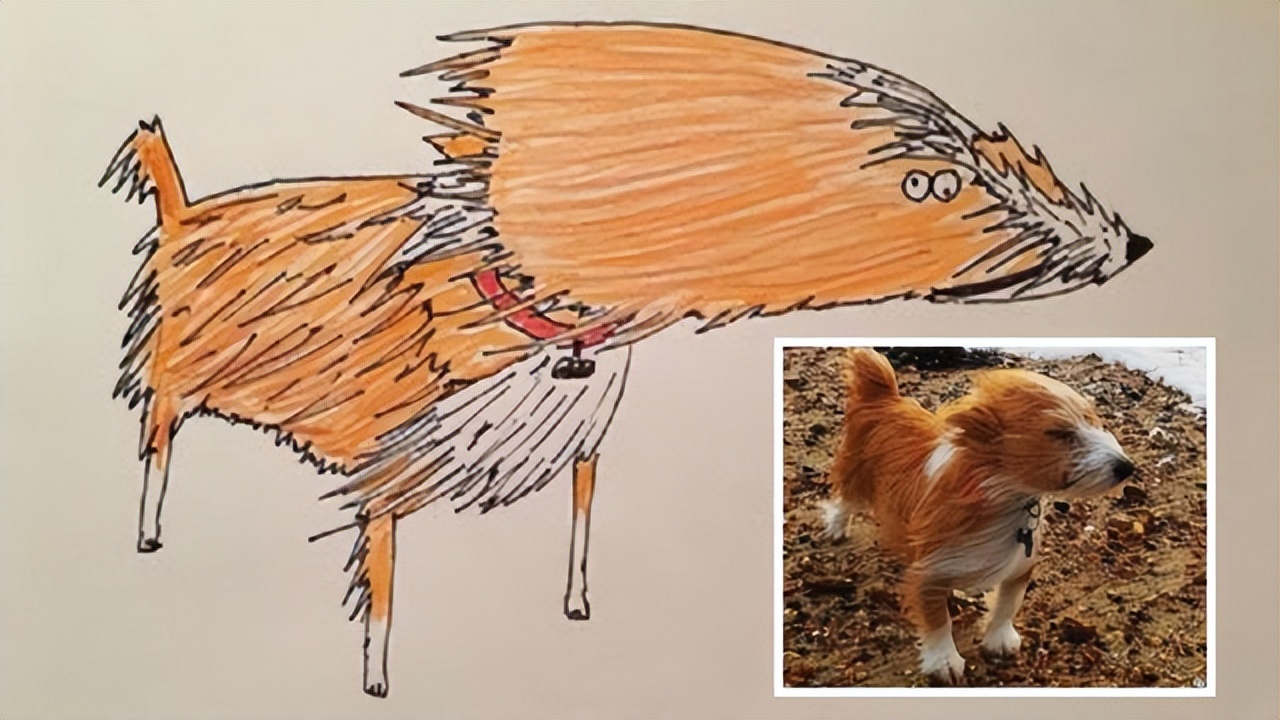 搞笑塗鴉讓他成網紅，為無家可歸者籌集不少錢，作品供不應求